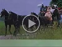 1990 500 Jahre Post ©VDZ Webdesign